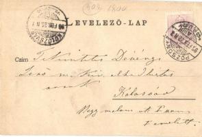 1899 Pozsony, Pressburg, Bratislava; Vár, gőzhajó. Römmler & Jonas / castle, steamship (fa)