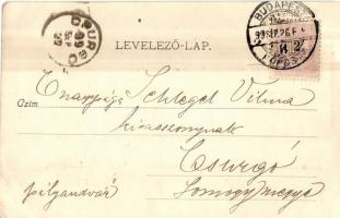 1899 Budapest V. Magyar Tudományos Akadémia, Divald Károly  38. (EK)