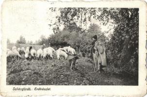 1918 Szliács, Sliac; erdő, juhász a nyájjal / forest, shepherd with the flock (EK)