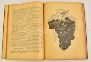 1901 Gyümölcskertész. XI. évf. 1-24. szám. Teljes évfolyam. Szerk.: Rudinai Molnár István. Bp.,1901,...