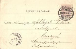 1898 Budapest XIII. Margitszigeti fürdőház; Divald Károly Nr. 37. (EK)