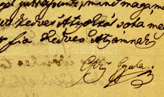 Érdekes 1848-as dokumentum: 1851 Csiky Sándor (1805-1892) nemzetőrparancsnok, politikus, egri polgár...