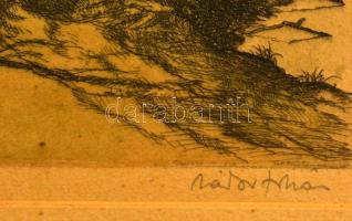 Zádor István (1882-1963): Halászat. Színezett rézkarc, karton, jelzett, paszpartuban, 35×21 cm