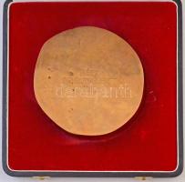 1990. "Csonka Pál emlékérem" egyoldalas Br emlékérem, hátoldalon gravírozva, eredeti tokba...