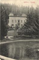 1917 Iglófüred, Bad Zipser Neudorf, Kúpele Spisská Nová Ves; Társalgó / villa (fa)