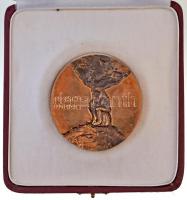 Csíkszentmihályi Róbert (1940-) 1986. "Eötvös Loránd-díj" Br érem, eredeti tokban (67mm) T...