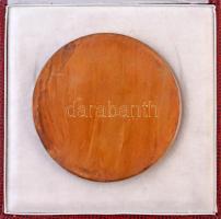 Kampfl József (1938- ) 1992. "Pro Sanitate" Br plakett, eredeti tokban (96mm) T:1-