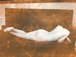 Amatőr aktok, 6 db fotónegatív, különböző méretben