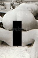 Amatőr pornófotó negatívok, összesen 7 db