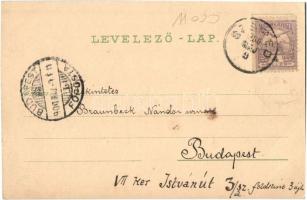 1900 Szered, Vágszered, Szered a. d. Waag, Sered; Kath. Schule und Kirche, Israelit Schule, Landwirt...