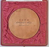 Szentesy Hiesz Géza (1896-1975) 1956. "Bartók" egyoldalas Br érem, hátoldalon gravírozva &...