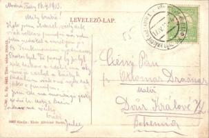 Bazin, Bösing, Bözing, Pezinok; Gróf Pálffy kastély parkja. W. L. Bp. 6642. Kiadja Klein Alfrédné / ...