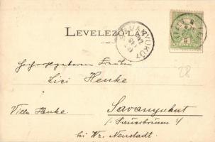 1902 Kistapolcsány, Topolcianky; Gróf Keglevich kastély (József főherceg kastély) / castle