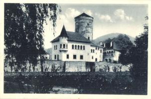 Zsolna, Sillein, Zilina; Budatin vár / Hrad / castle