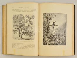 Dr. Gáspár Ferencz: A Föld körül. I., III., IV., VI. kötetek Összesen 4 kötet. Vámbéry Ármin előszav...