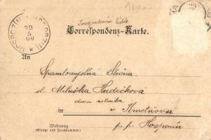 1900 Excelsior Pneumatic. Hannov. Gummi-Kamm Co. Act-Ges. Hannover-Limmer / German bicycle and tire ...