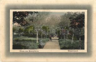 1911 Nagykárolyfalva, Károlyfalva, Karlsdorf, Banatski Karlovac; Erzsébetpark. W.L. Bp. 1231. Ideal / Elisabetpark / park (EK)