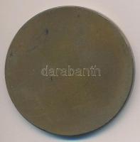 Fritz Mihály (1947-) 1986. "30. Nemzetközi Barátság Maraton Szeged" Br emlékérem (60mm) T:...