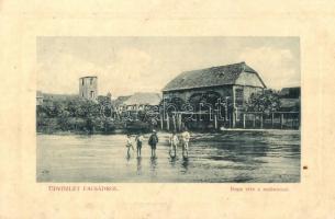 1913 Facset, Facsád, Faget; Bega vize a malommal. W.L. Bp. 1421. / River Bega with mill