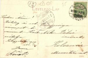 Szilágysomlyó, Simleu Silvaniei; Római katolikus gimnázium, Vágó Antal üzlete. W. L. (?) 2309. Veres...