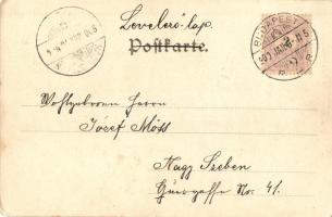 1899 Gries-San Quirino, Gries-Quirein (Bolzano, Bozen; Südtirol); Grieser-Hof (EK)