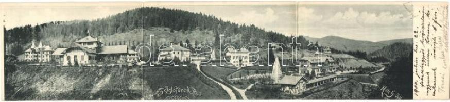 1900 Iglófüred, Bad Zipser Neudorf, Kúpele Spisská Nová Ves; nyaralók. Matz G. kiadása. Három-lapos panorámalap / villas. 3-tiled panoramacard