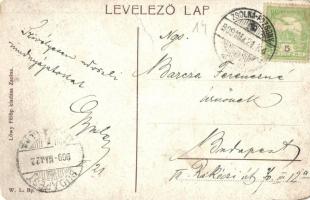 Sztrecsnó, Sztrecsény, Strecno (Tátra); Vár romladék a Vágnál, Vágvölgy. W. L. Bp. 307. Löwy Fülöp k...