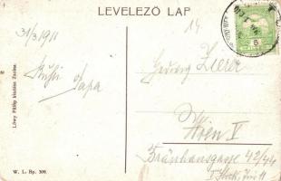 Lejtava, Zsolnalitva, Lietava (Vágvölgy, Povazie); vár. W. L. Bp. 309. Löwy Fülöp kiadása / castle (...