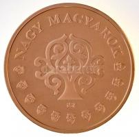 ifj. Szlávics László (1959-) 2011. "Nagy Magyarok / Szent-Györgyi Albert 1893-1985" aranyo...