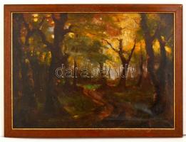 Mednyánszky jelzéssel: Őszi erdő. Olaj, vászon, sérült, keretben, 50×70 cm