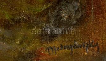 Mednyánszky jelzéssel: Őszi erdő. Olaj, vászon, sérült, keretben, 50×70 cm