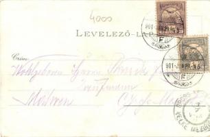 1901 Esztergom, Bazilika, Mária Valéria híd Esztergom és Párkány (Stúrovo) között, tutajosok, csónak...