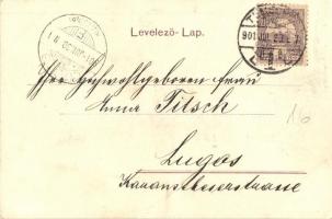 1901 Temesvár, Timisoara; Dóm tér, Római katolikus székesegyház, Szentháromság szobor, üzletek. Kiad...