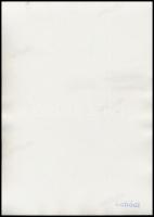 Mannerheim Marsall Carl Gustaf Emil Mannerheim (1867-1951) finn marsall  és Eduard Dietl (1890-1944)...