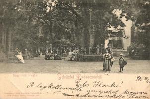 1900 Debrecen, Nagyerdői részlet, park. Pongrácz Géza kiadása, Kiss Ferenc eredeti fényképe után (EK)