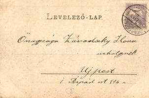 1900 Debrecen, Nagyerdői részlet, park. Pongrácz Géza kiadása, Kiss Ferenc eredeti fényképe után (EK...