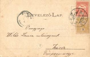 1902 Győr, látkép a Duna partról. Berecz Victor kiadása (EK)