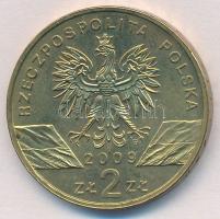 Lengyelország 2009. 2Zl sárgaréz "Zöld gyíkok" T:1-
Poland 2009. 2 Zlote brass "Gree...