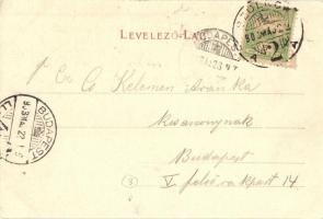 1903 Szolnok, Tisza híd, Móricz liget, "Sirály" csavaros vontató gőzhajó (a hajónév felett...