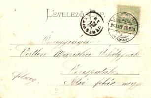 1903 Sepsiszentgyörgy, Sfantu Gheorghe; M. kir. Állami tanítónő képző intézet, csoportkép. Benkő M. ...