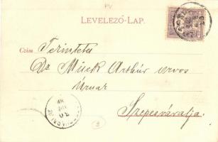 1900 Losonc, Lucenec; Kubinyi tér, Fogel Mátyás, Redlinger Ignác üzlete, 1848-49-es magyar szabadság...