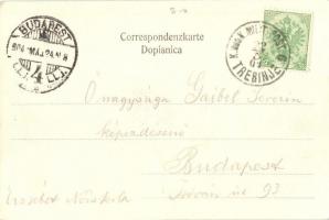 1904 Trebinje, Partie vom Marktplatz / marketplace, crowd. Anton Pericevic ed. + K.u.K. Milit. Post....