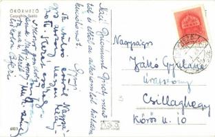 Ökörmező, Volove Polje, Mizhhirya; Carpathia szálloda, vendéglő, étterem, belső / hotel and restaura...