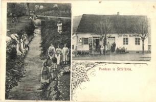 Sestine (Zágráb, Agram, Zagreb); Veserice u Sestina, Gostiona / mosás a patakban, üzlet, vendéglő, étterem / washing in the creek, shop, restaurant. Floral (Rb)