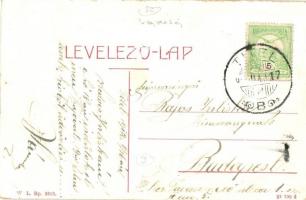 Titel, Tisza part, gőzhajó, faúsztatás. W. L. Bp. 2315. / riverside, steamship, timber transporting ...