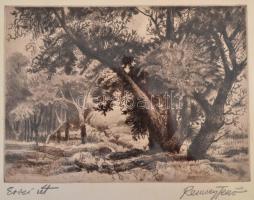 Remsey Jenő (1885-1970): Erdei út, rézkarc, papír, jelzett, üvegezett fa keretben, 21×28 cm
