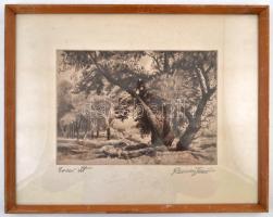 Remsey Jenő (1885-1970): Erdei út, rézkarc, papír, jelzett,  üvegezett fa keretben, 21×28 cm
