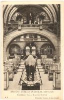 6 db régi angol városképes lap / 6 pre-1945 British town-view postcards