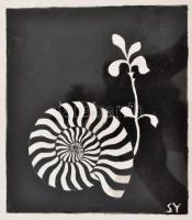 SY jelzéssel: Csiga. Tus, papír, üvegezett keretben, 18×16 cm