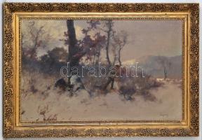 Neogrády Antal (1861-1942): Vadász. Olaj,vászon, jelzett, keretben, 52×82 cm